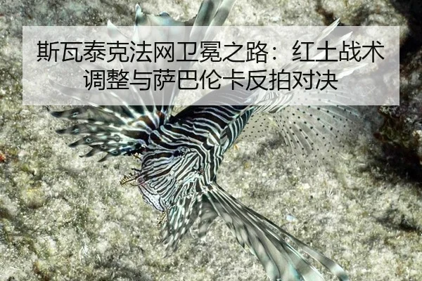 si-wa-tai-ke-fa-wang-wei-mian-zhi-lu-hong-tu-zhan-shu-tiao-zheng-yu-sa-ba-lun-ka-fan-pai-dui-jue-3-457.jpg